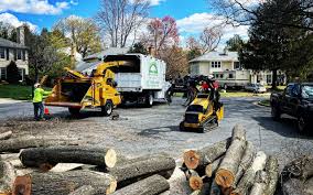 Best Utility Line Clearance  in Coachella, CA